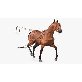 3D model Horse Drawn Leather Harness Walking Pose
